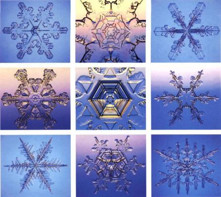 Flocons de neige